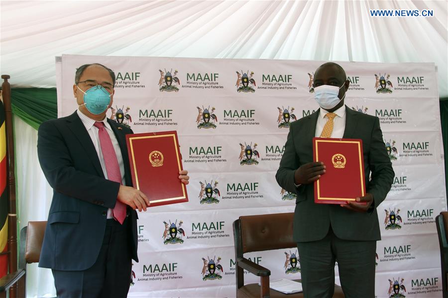 Chinese Ambassador to Uganda Zheng Zhuqiang (L) and Vincent Ssempijja, Uganda's minister of agriculture, pose for a photo after exchanging certificates during a donation ceremony in Kampala, capital of Uganda, on June 10, 2020. China on Wednesday donated an assortment of chemicals and equipment to Uganda in the fight against desert locusts in the east African country. (Xinhua/Zhang Gaiping)