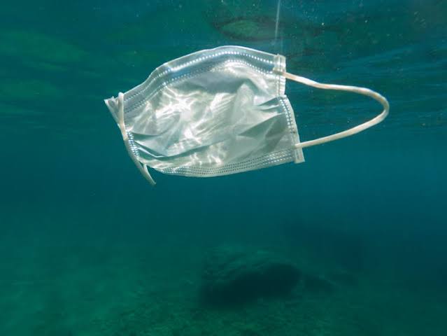 Discarded face masks may be mistaken by sea creatures for prey and eaten. 