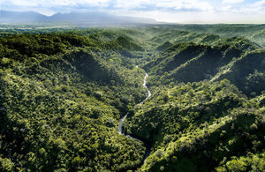 Governments, farmers and businesses commit to urgent action to protect our land and make our agriculture and food systems more sustainable for the future.