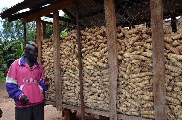 Yergalem Taages Beraki Economic And Health Impact Of Unsafe Food In