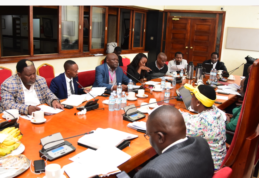 Officials from PSFU and National Culture Forum appearing before Health and Trade Committee of Parliament 