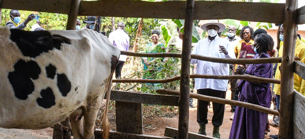 The visit is part of President Museveni’s 4-day wealth creation and PDM performance assessment tour in Busoga sub-region which commenced today. 