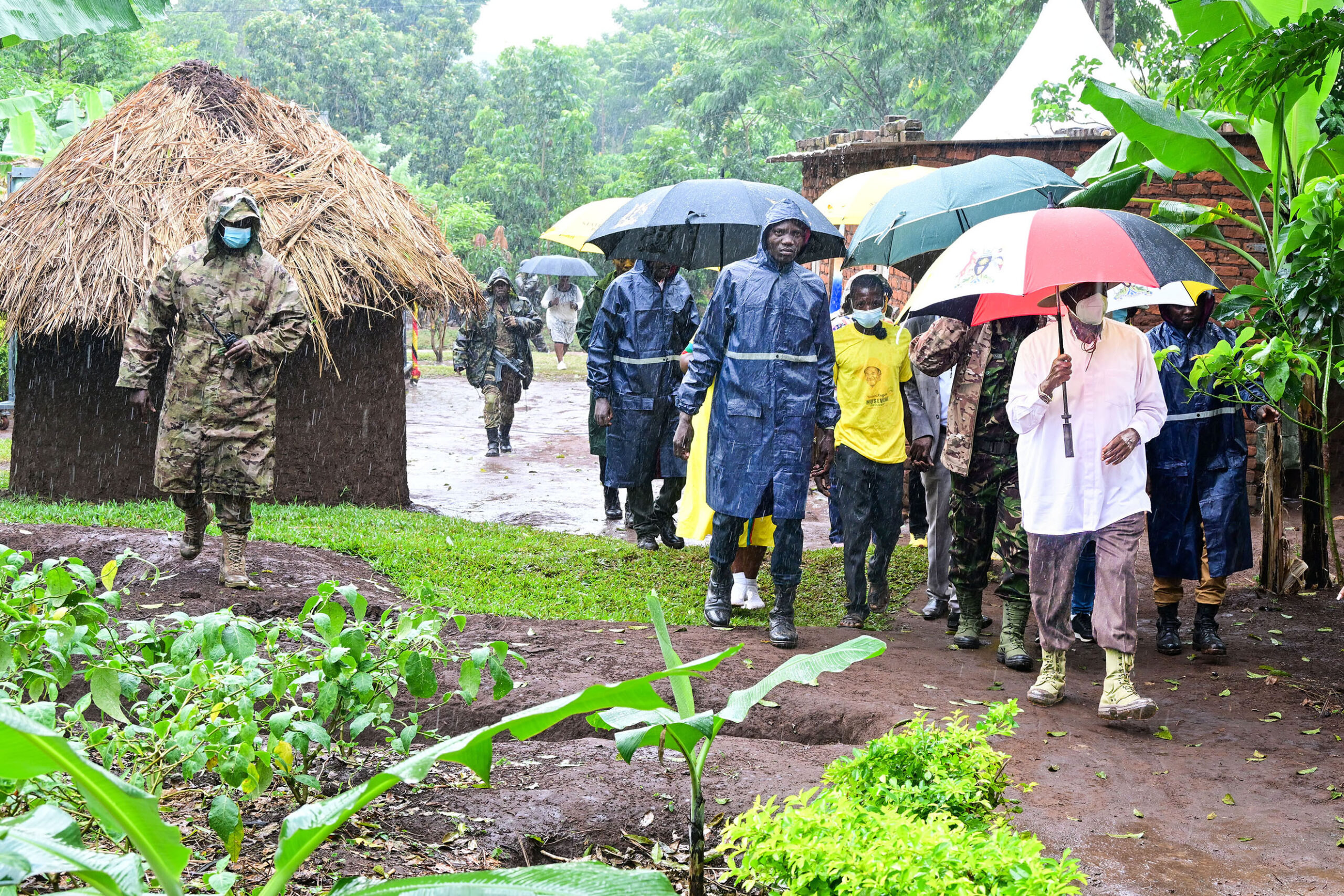 President Museveni arrives at PDM beneficiary farmer Eliot Mukasa's passion fruit garden in Nawampiti, Luuka district amidist a heavy downpour on Wednesday. Dresses in (yellow) is Eliot Mukasa. PPU Photo