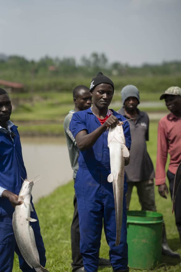 Former street youths turned fish farmers hold up their catch at Masheda Mixed Farm in Uganda, where a pioneering programme has empowered hundreds of young people to build new lives and contribute to the country's growing aquaculture industry