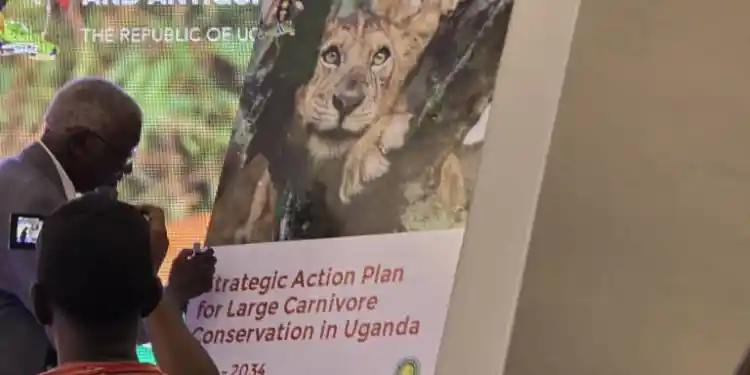 Conservationists and government officials gathered at the National Wildlife Conservation Conference 2025 in Kampala, where key stakeholders emphasized the urgent need for funding and collaboration to prevent further decline of Uganda’s iconic predators.